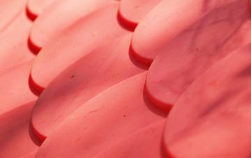 Evenwood Gate plastic roof costs